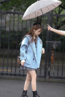 浪蝶偷香